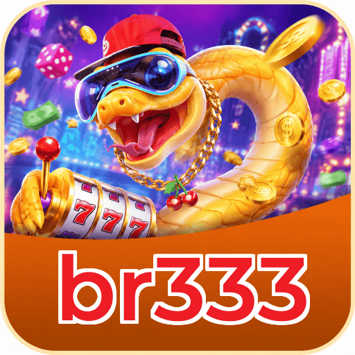 br333